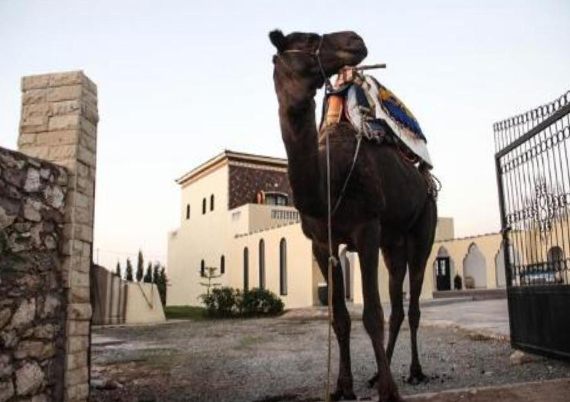 Hotel Sidi Kaouki Ayt Karoum Exteriér fotografie