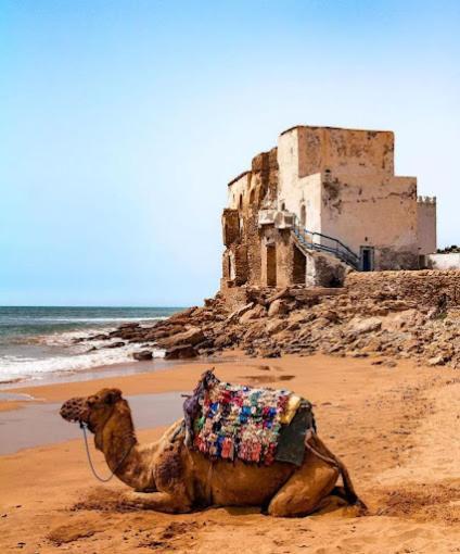Hotel Sidi Kaouki Ayt Karoum Exteriér fotografie